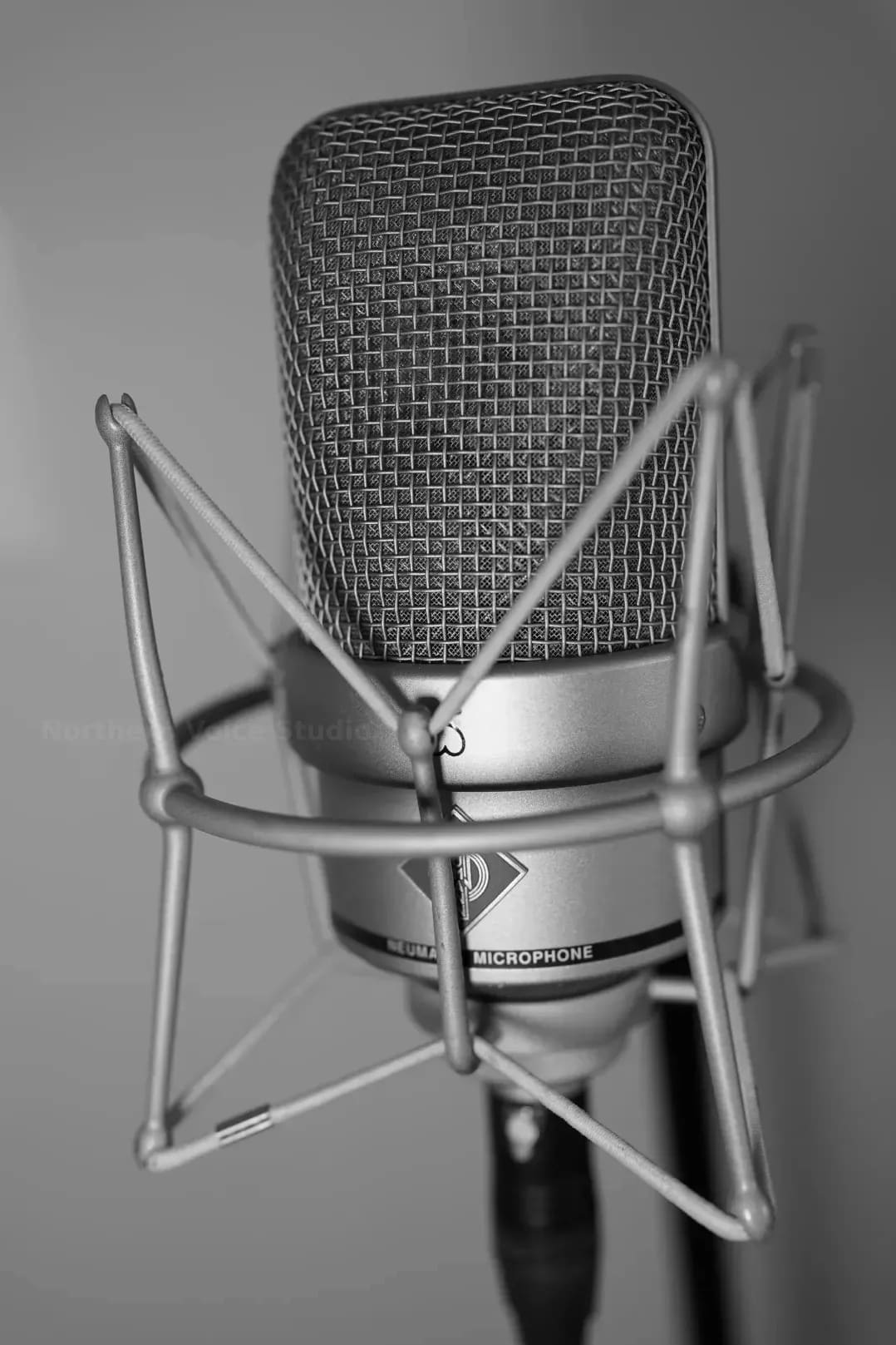 Northern Voice Studio 2