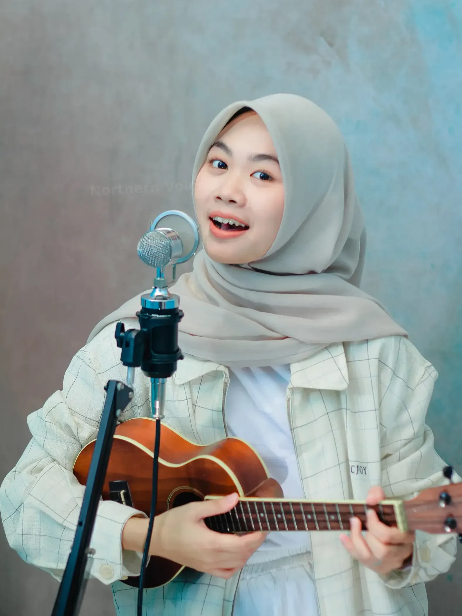 Northern Voice Studio